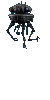 PDani_small2.gif